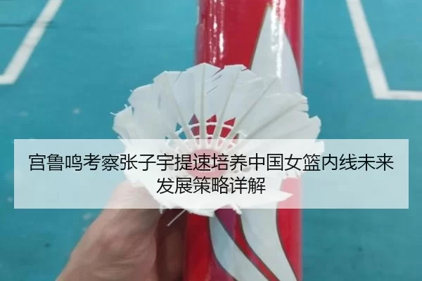 宫鲁鸣考察张子宇提速培养中国女篮内线未来发展策略详解