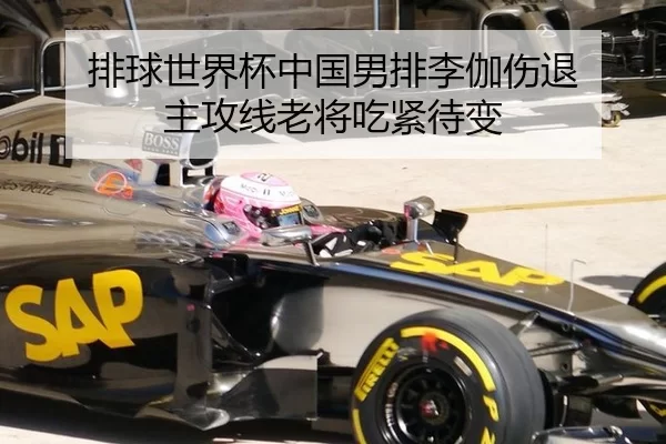 排球世界杯中国男排李伽伤退 主攻线老将吃紧待变